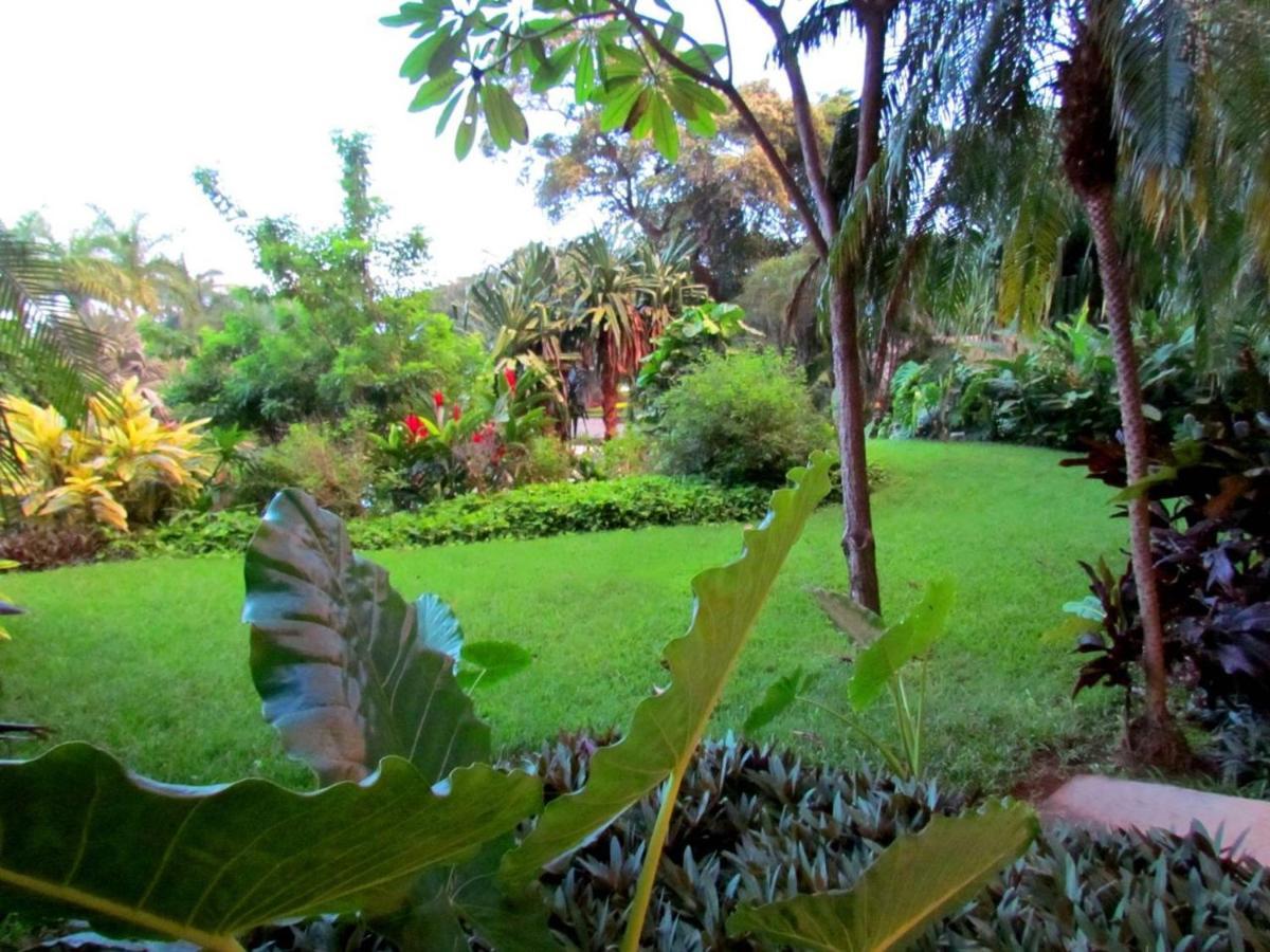 Tamarindo Condo 206 Matapalo מראה חיצוני תמונה